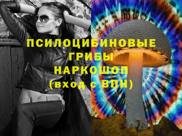 прущая мука Арсеньев