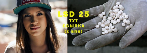 спайс Няндома