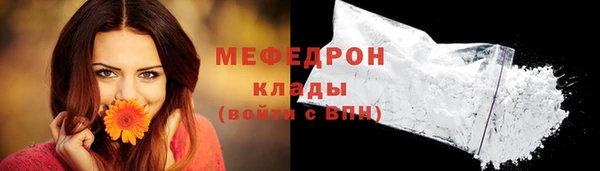 индика Аркадак