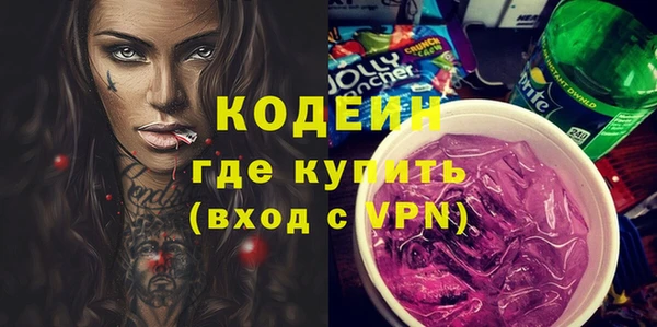 индика Аркадак