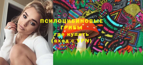 индика Аркадак