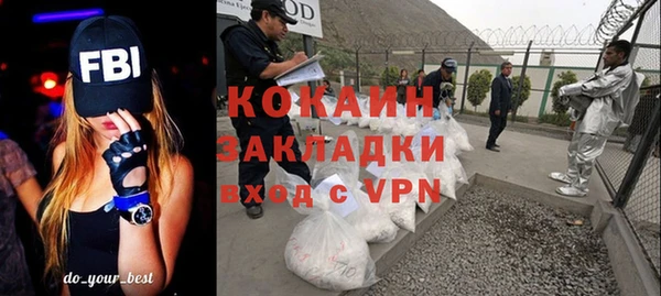 индика Аркадак