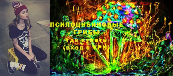 индика Аркадак