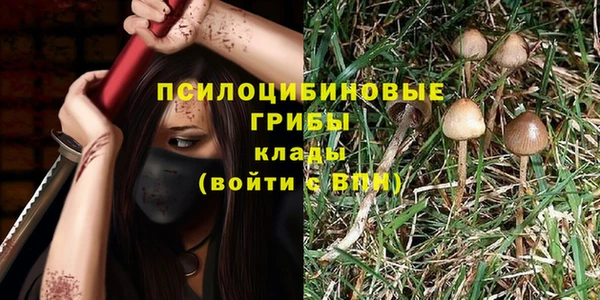 индика Аркадак