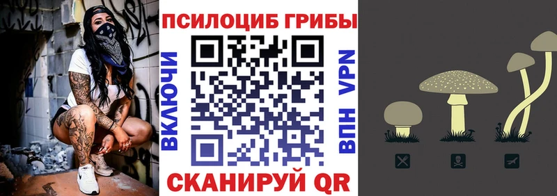 darknet телеграм  купить   Полярный  Псилоцибиновые грибы Psilocybine cubensis 